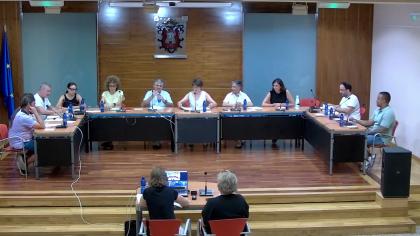 Pleno Extraordinario del 2-07-2025