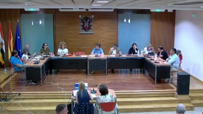 Pleno Ordinario del 15-09-2026