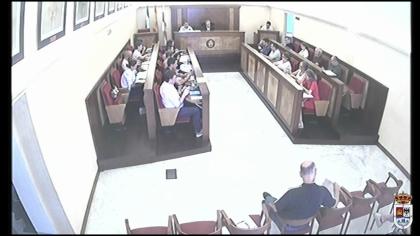 Pleno Ordinario 25 junio 2026
