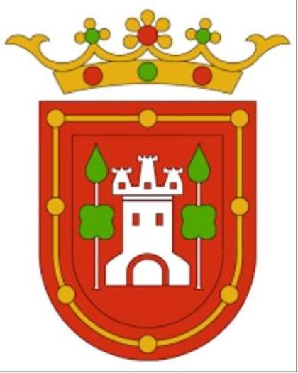 PLENO ORDINARIO 29-07-2026