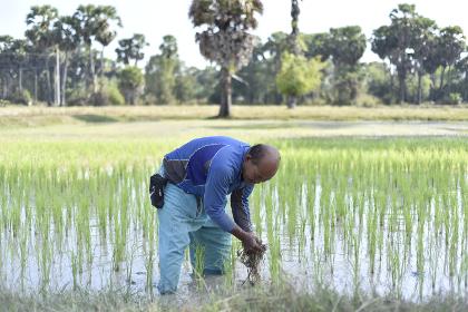 The Demonstration Farm of hope