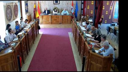 PLENO ORDINARIO DE FECHA 29 DE MAYO DE 2026
