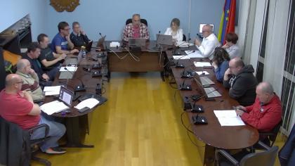 PLENO ORDINARIO MARZO 2026