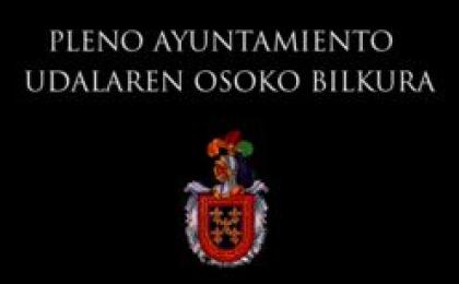Pleno ordinario del 28 de mayo de 2026