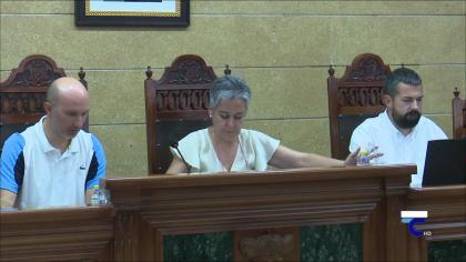 Pleno Ordinario del 4-07-2024