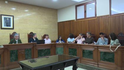 Pleno Ordinario del 30-4-2025