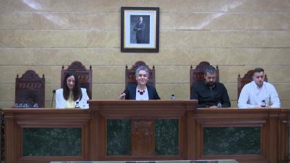 Pleno Extraordinario del 19-5-2025