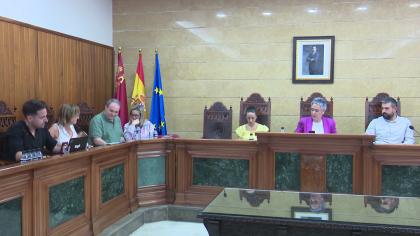 Pleno Extraordinario del 29-5-2025