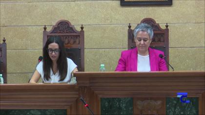 Pleno Extraordinario del 29-9-2025