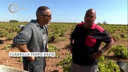 Cuadrilla de Pedro David