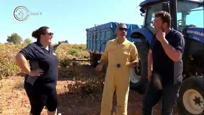 La Cuadrilla 