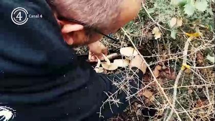 Expedición micológica con Lorenzo Bascuñana y el chef Emilio Ramírez, el cual después nos enseña a cocinarlas en La Hospedería - El Provencio