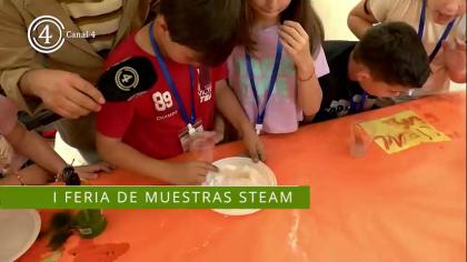  I Feria de Muestras Steam 