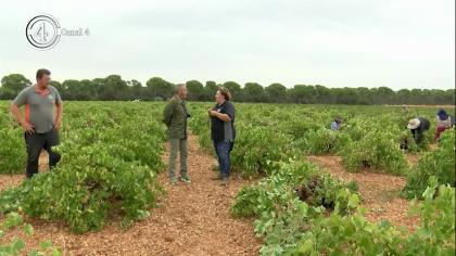 Nos vamos de Vendimia con la Cuadrilla 