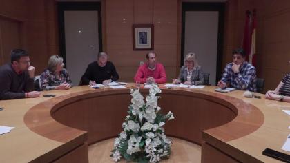 Pleno Extraordinario del 19-11-2024