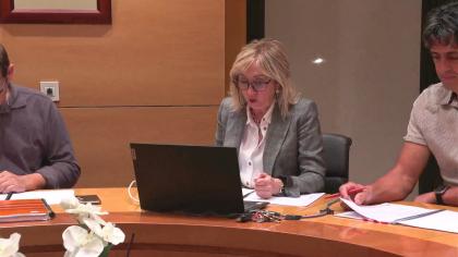 SESION EXTRAORDINARIA 4 DE NOVIEMBRE DE 2025