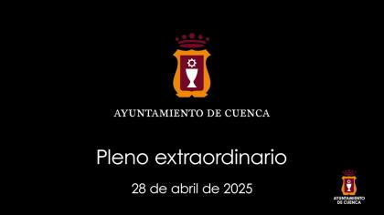 2025-04-28 Pleno ordinario