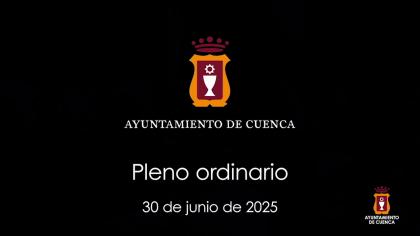 2025-06-30 Pleno Ordinario