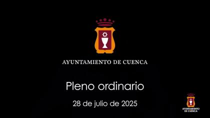 2025-07-28 Pleno ordinario