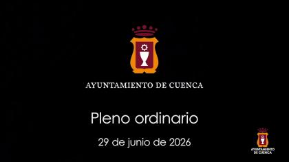 2025-06-29 Pleno Ordinario