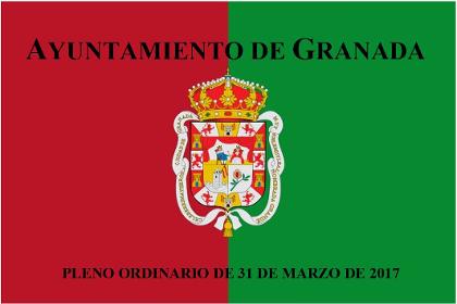 Pleno Ordinario de 31 de marzo de 2017