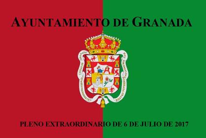 Pleno Extraordinario de 6 de julio de 2017