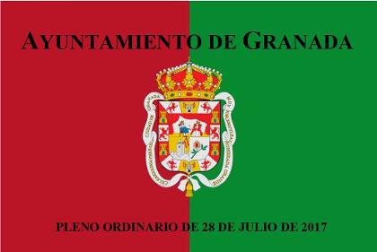 Pleno Ordinario de 28 de julio de 2017