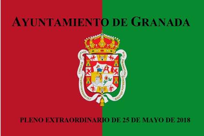 Pleno extraordinario de 25 de mayo de 2018