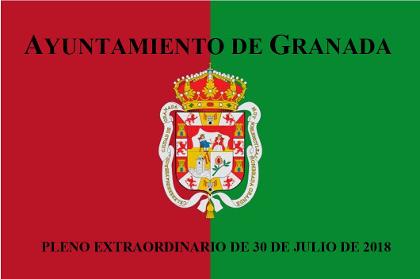 Pleno Extraordinario de 30 de julio de 2018