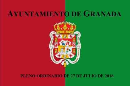 Pleno Ordinario de 27 de julio de 2018