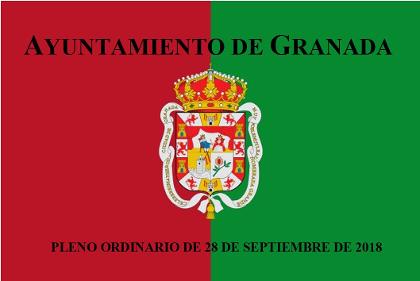 Pleno Ordinario de 28 de septiembre de 2018