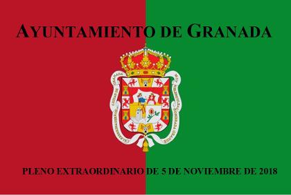 Pleno Extraordinario de 5 de noviembre de 2018