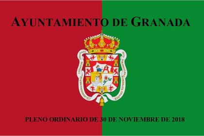 Pleno Ordinario de 30 de noviembre de 2018