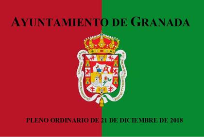 Pleno Ordinario de 21 de diciembre de 2018