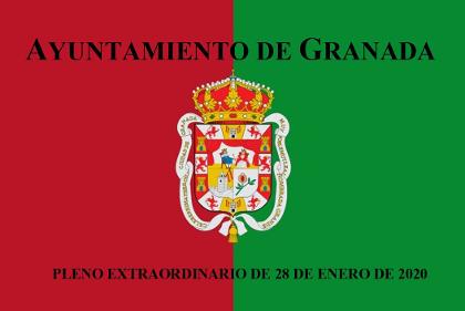 Pleno Extraordinario de 28 de enero de 2020