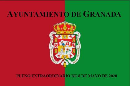 Pleno Extraordinario de 8 de mayo de 2020