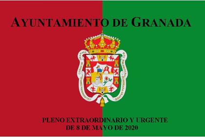 Pleno Extraordinario y Urgente de 8 de mayo de 2020