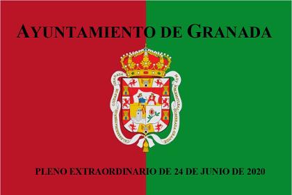 Pleno Extraordinario de 24 de junio de 2020