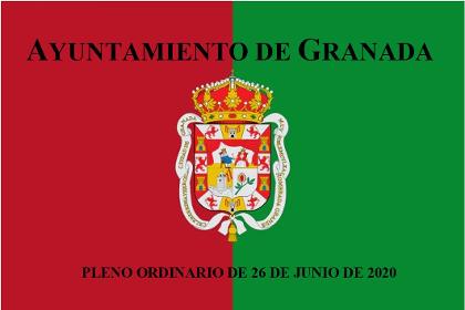 Pleno Ordinario de 26 de junio de 2020