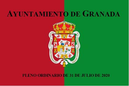 Pleno Ordinario de 31 de julio de 2020