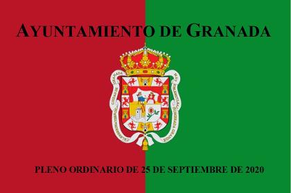 Pleno Ordinario de 25 de septiembre de 2020