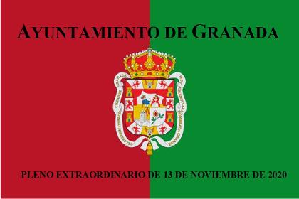 Pleno Ordinario de 30 de octubre de 2020