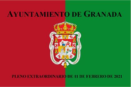 Pleno Extraordinario de 11 de febrero de 2021