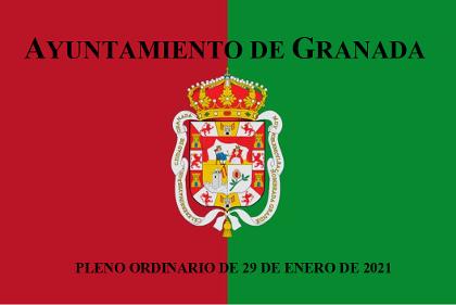 Pleno Ordinario de 29 de enero de 2021