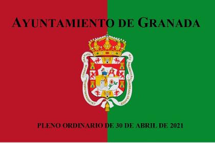 Pleno Ordinario de 30 de abril de 2021