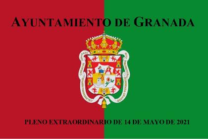 Pleno Extraordinario de  14 de mayo de 2021