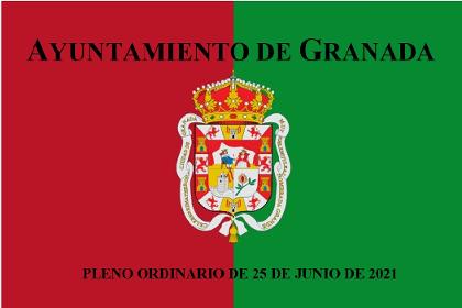 Pleno Ordinario de 25 de junio de 2021