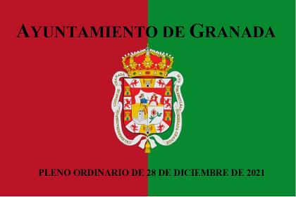 Pleno Ordinario de 28 de diciembre de 2021
