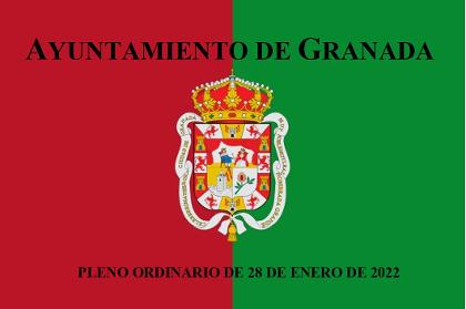 Pleno Ordinario de 28 de enero de 2022