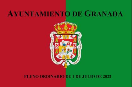 Pleno Ordinario de 1 julio de 2022